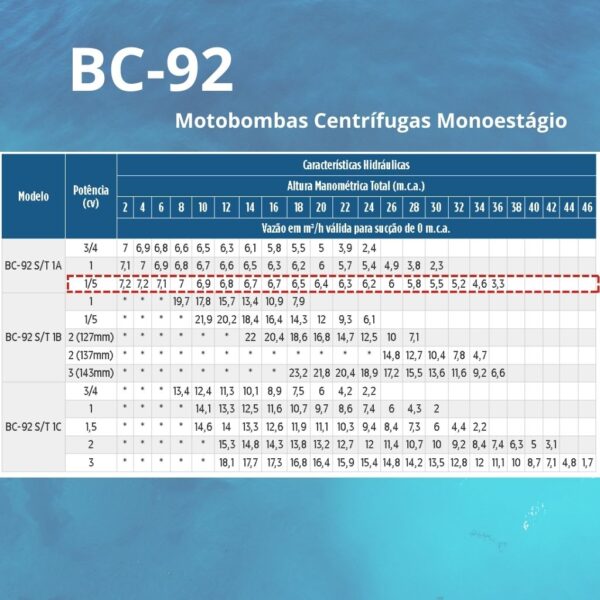 Bomba Centrífuga Monoestágio Schneider BC-92 S 1A 1 1/2 cv Trifásico 220/380 V - Image 2