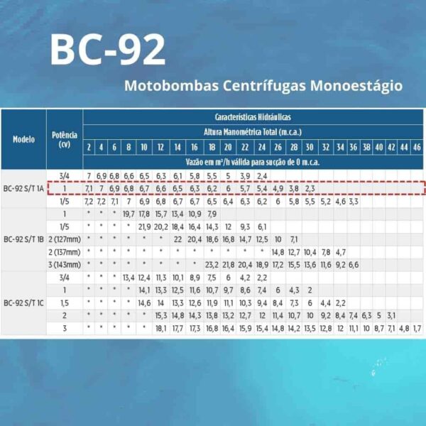 Bomba Centrífuga Monoestágio Schneider BC-92 S 1A 1 cv Trifásico 220/380 V - Image 2