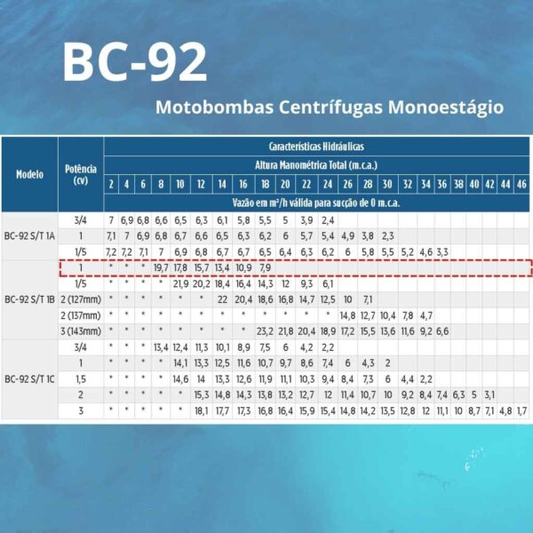 Bomba Centrífuga Monoestágio Schneider BC-92 S 1B 1 cv Monofásico 127/220 V - Image 2