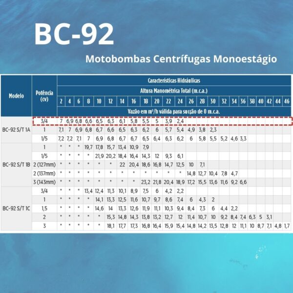 Bomba Centrífuga Monoestágio Schneider BC-92 S 1A 3/4 cv Monofásico 127/220 V - Image 3