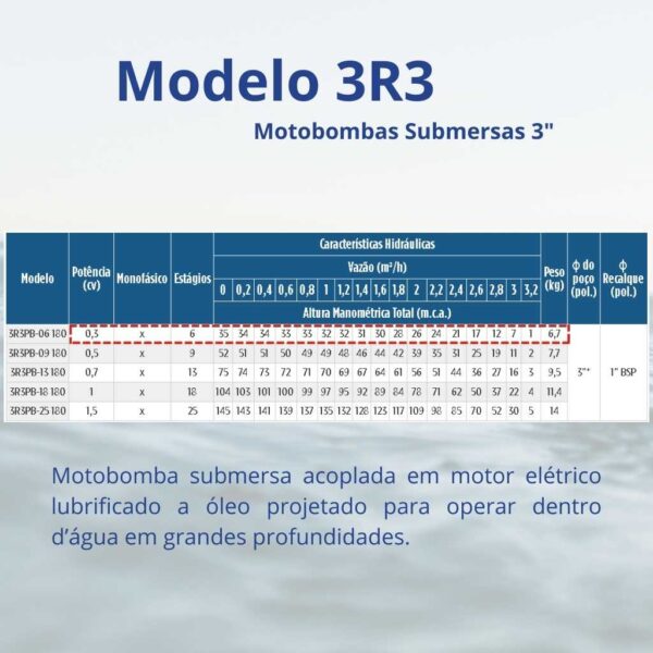 Bomba Submersa Leão 3R3PB-06 180 0,3 cv Monofásico (2 fios) 127 V - Image 2