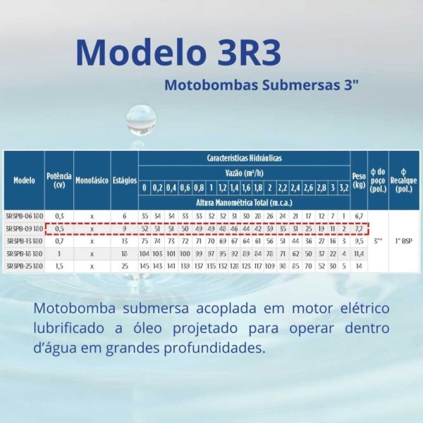 Bomba Submersa Leão 3R3PB-09 180 0,5 cv Monofásico (2 fios) 220 V - Image 2