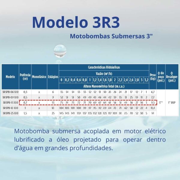 Bomba Submersa Leão 3R3PB-13 180 0,7 cv Monofásico (3 fios) 220 V  (Com caixa de controle) - Image 2