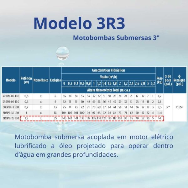 Bomba Submersa Leão 3R3PB-25 180 1,5 cv Monofásico (3 fios) 127 V  (Com caixa de controle) - Image 2