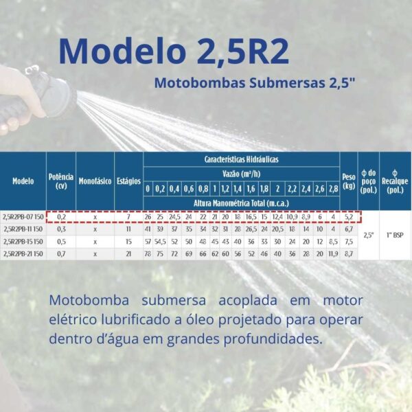 Bomba Submersa Leão 2,5R2PB-07 150 0,2 cv Monofásico (2 fios) 127 V - Image 2