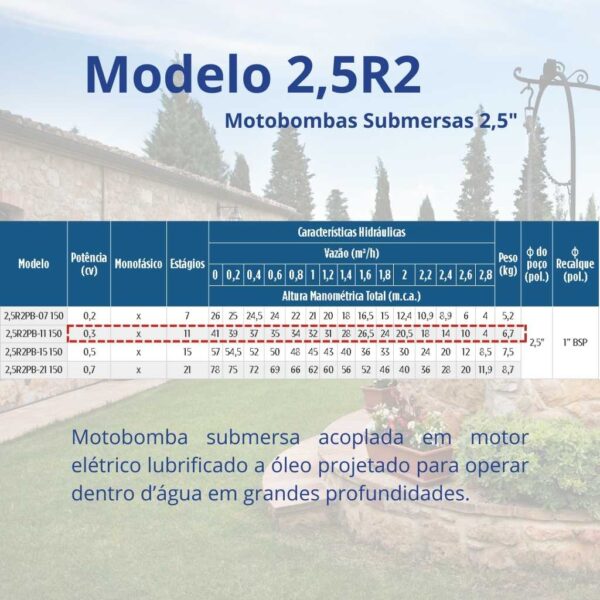 Bomba Submersa Leão 2,5R2PB-11 150 0,3 cv Monofásico (2 fios) 220 V - Image 2