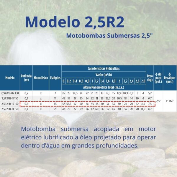 Bomba Submersa Leão 2,5R2PB-15 150 0,5 cv Monofásico (2 fios) 220 V - Image 2