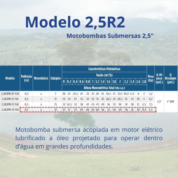Bomba Submersa Leão 2,5R2PB-21 150 0,7 cv Monofásico (2 fios) 220 V - Image 2